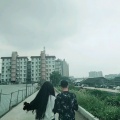 春天里的两只小虫子的头像