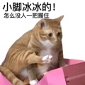 今天看文了吗的头像
