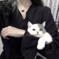 哎呦哎呦不好看的头像