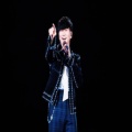 辛巴的头像