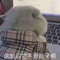 深渊的头像