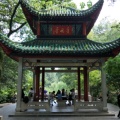 李彤的头像