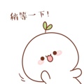 兔纸的头像