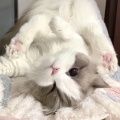 睡神bb的头像