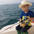 蛋蛋妈的头像