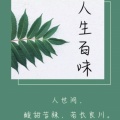 百味书生的头像