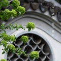 听风雨的头像