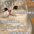 O泡时间到的头像