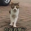 书友1166703947的头像