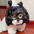 豆瓣欧尼酱的头像