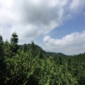 鱼儿的头像