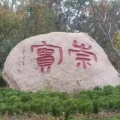 书友1265541314的头像