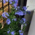 清影随风73的头像