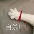 书友1167940014的头像