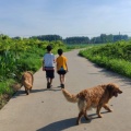 小米爱有钱的头像