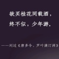 书友寻风的头像