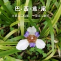 馨际宝贝的头像