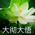 幼稚的童话的头像