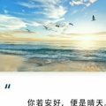 随风飘扬的头像