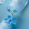 书香一梦的头像