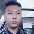 陽網易的头像