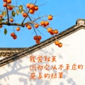 晓梦2020的头像