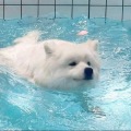 月清浅浅的头像