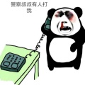 推荐的头像