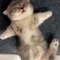 璟色洢人的头像