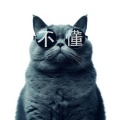 照鉴的头像