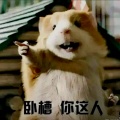 岭南人士的头像