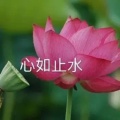 黄花大鬼女的头像