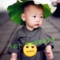 书友865041062的头像