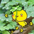 小鱼仙的头像