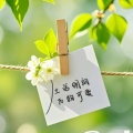 晴朗诗意的头像