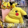 685618394的头像