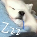 7777777的头像