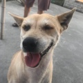 书友920542266的头像
