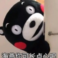 731017655的头像