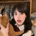 一枝孤梅的头像