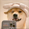 书友1522023311的头像