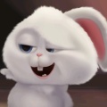 书友924341358的头像