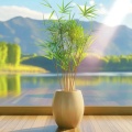 来来来的头像