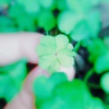 黎明曙光的头像