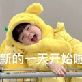忧郁的影帝在种玫瑰的头像
