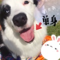 书友947149688的头像