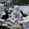 书友782946376的头像