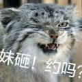 书友1402790340的头像