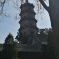 书友1164633439的头像
