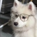 柒叁玖的头像